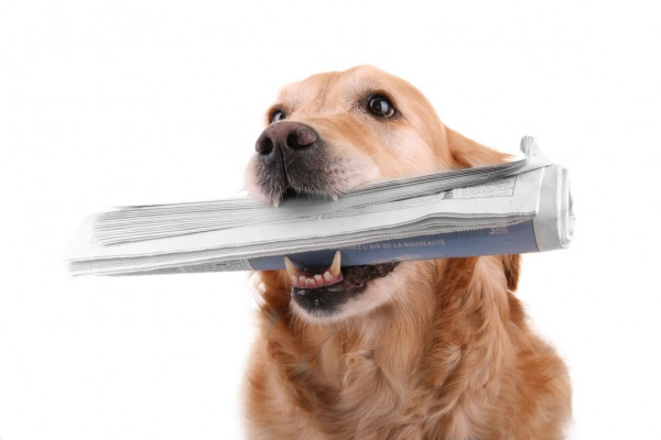 В Польше поднимают патриотизм российской Матушкой-землей. Переделанной